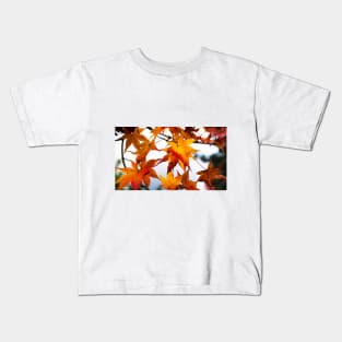 Photography - Japanese fall Kids T-Shirt